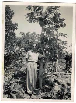 Photo image of Walter Williams and Palm tree