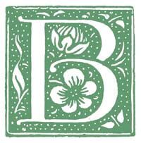Image of decorative letter B