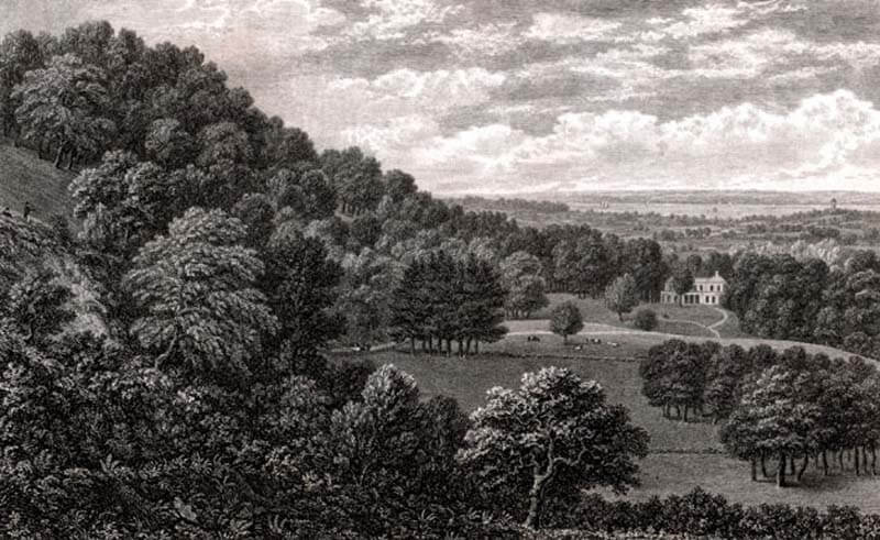 Victorian engraving of Swainston Isle of Wight circa 1850 by Brannon