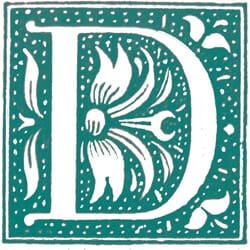 Illustration of decorative letter D
