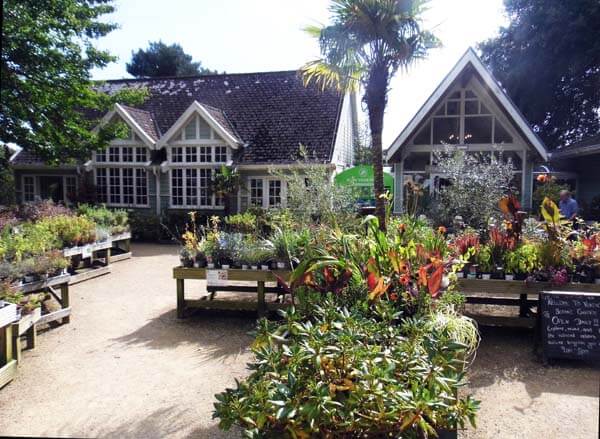 Photo image of Ventnor Botanic Garden