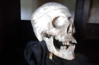 Photo image of skull on display inside the Hare & Hounds Inn.