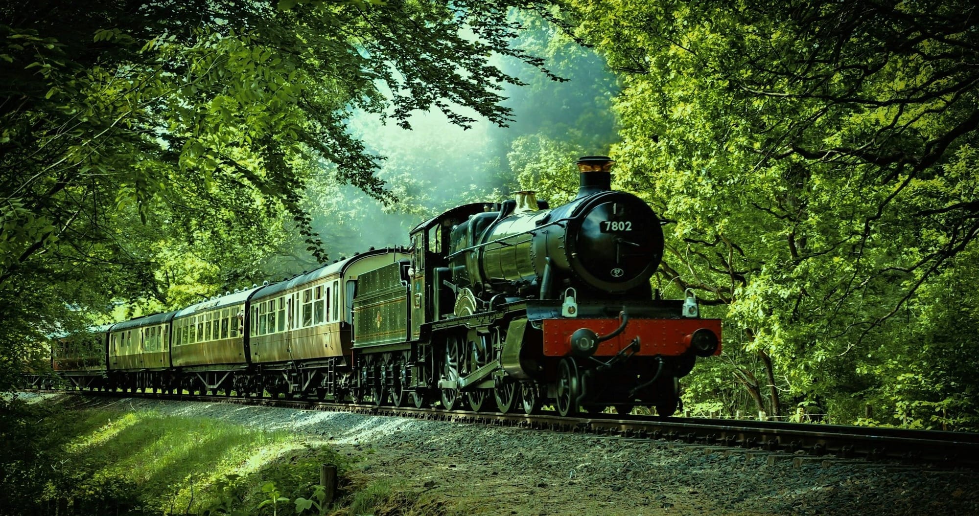 black and red train passing through forest